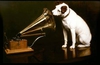 HMV in administration, 4,500 jobs at risk, all vouchers nullified