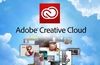 Adobe financials impacted by move to cloud subscription apps