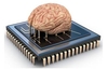 Organic computing device created using four rat brains