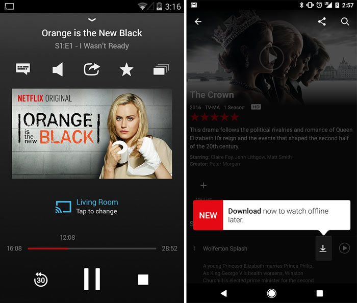 Netflix now allows downloading for offline viewing - Entertainment