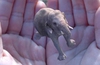 Google leads $542M funding round into startup Magic Leap