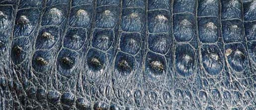 Fujitsu Develops A Realistic Haptic Sensory Touch Screen Tablet