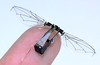 Harvard's Robobee, a tiny flying insect robot, has learned to swim
