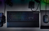 Razer intros Naga Trinity mouse and Tartarus V2 gaming keypad