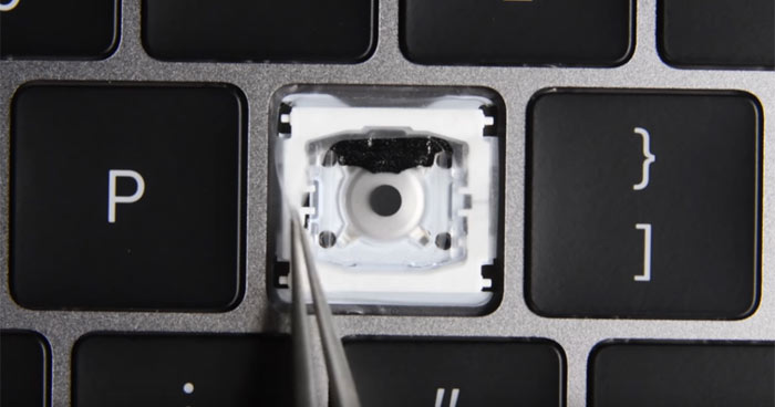 macbook keyboard membrane