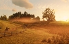 Red Dead Redemption 2 PC enhanced trailer published