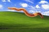 Microsoft releases worm fix for older versions of Windows