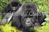 Corning Gorilla Glass Victus majors on scratch resistance