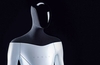 Tesla Bot 'friendly' humanoid robot unveiled